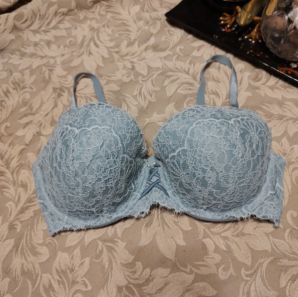 🍃🐦🍃 VS Vtg Aqua Tiffany Pale Turquoise Blue Floral Lace Corset Bra - 38D